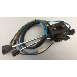 DEVIOLUCE CON POMELLO SPECIFICARE SE 2 O 4 FARI