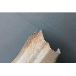 PARAFANGO POSTERIORE SX COD  5886175 CON DIFETTO