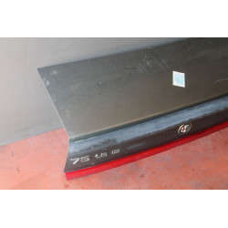 COFANO BAULE COMPLETO DI LUCI TARGA