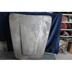 FLAMINIA TOURING    COFANO ANTERIORE USATO