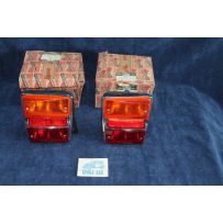 PRIMULA COUPE'  FANALINI  ALTISSIMO COPPIA