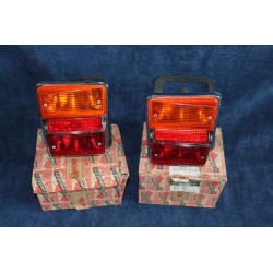 PRIMULA COUPE'  FANALINI  ALTISSIMO COPPIA