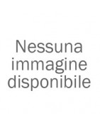 TOPOLINO GIARDINIERA LEGNO (1948-1952)